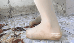 177169353603003.gif