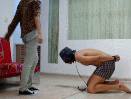 1772924723120002.gif