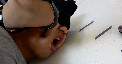 1773258269042003.gif