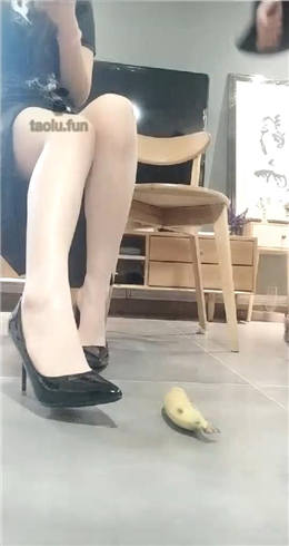 1772307981056006.jpg