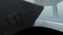 1780055631050002.gif