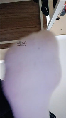 178569188933701.jpg