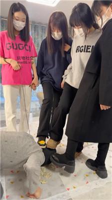 178667542026510.jpg