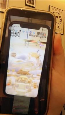 178667592052706.jpg
