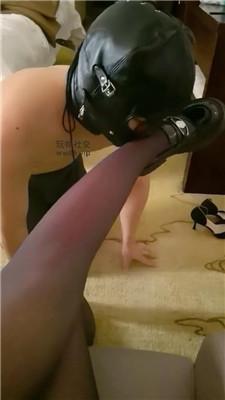 178667593767802.jpg