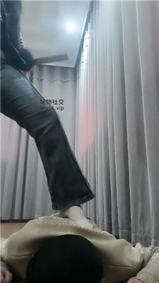 178667595165515.jpg