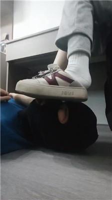 178744759816305.jpg