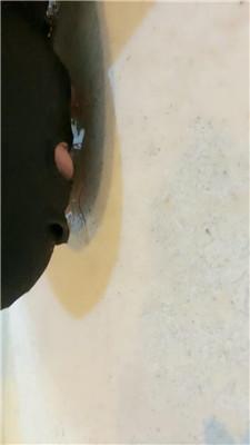 179018218785904.jpg